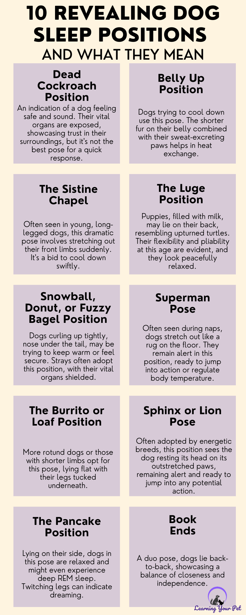 Dog Positions and What They Mean