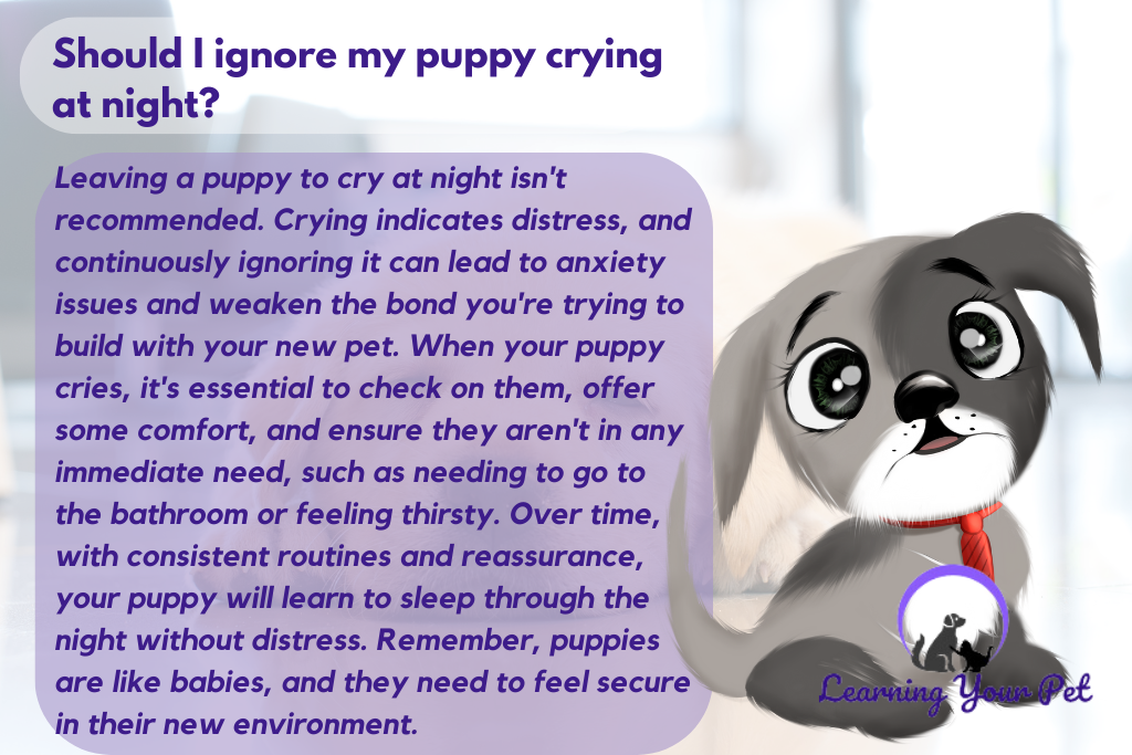 Should I leave my puppy to cry at night?