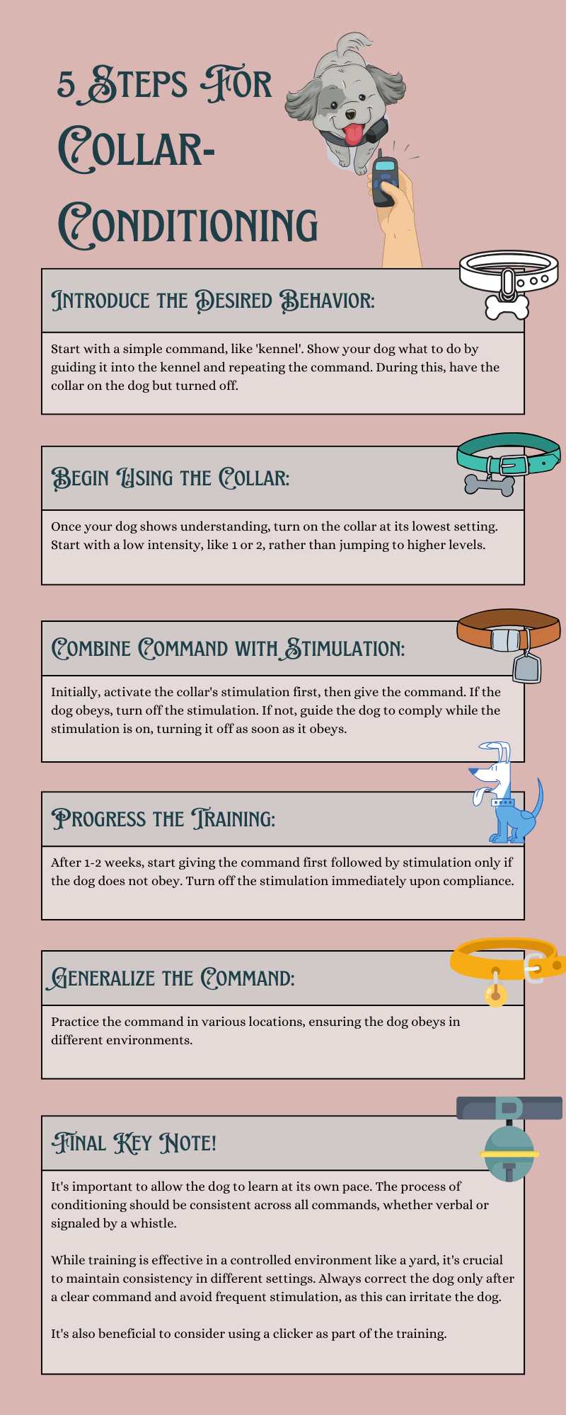 Steps for Collar-Conditioning