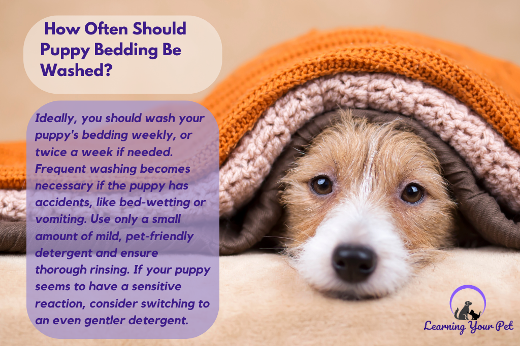 How Often Should Puppy Bedding Be Washed?