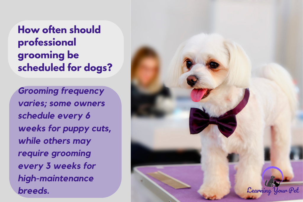 How often should professional grooming be scheduled for dogs?