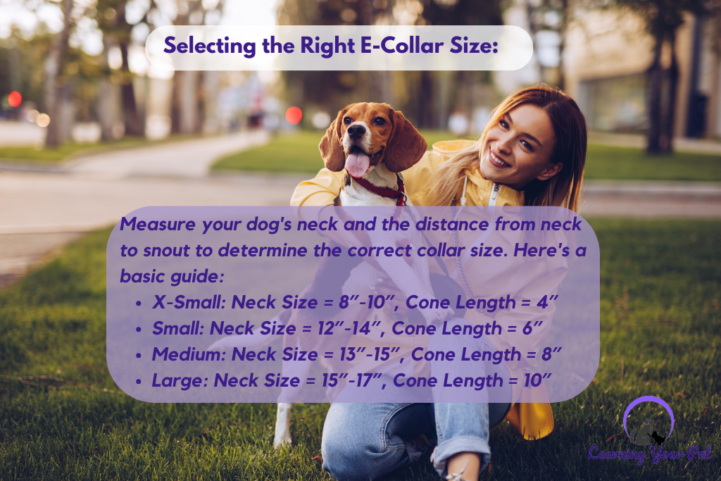 How to select the right e-collar size for my dog?