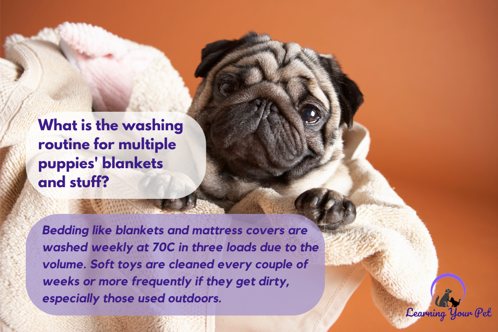 What is the washing routine for multiple puppies' bedding and toys?