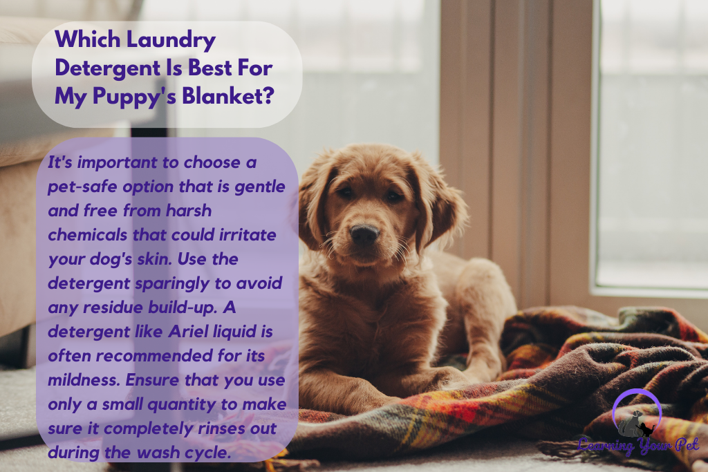 Which Laundry Detergent is best for my puppy's blanket? 