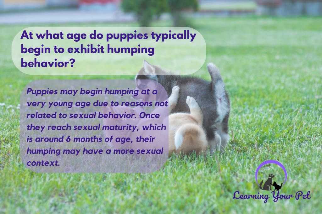 At what age do puppies typically begin to exhibit humping behavior?