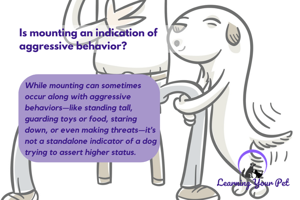 Is humping an indication of aggression and how to handle it?