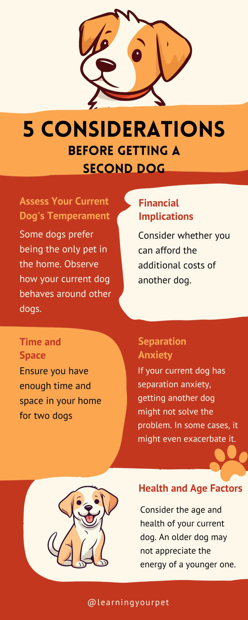 Considerations Before Getting a Second Dog
