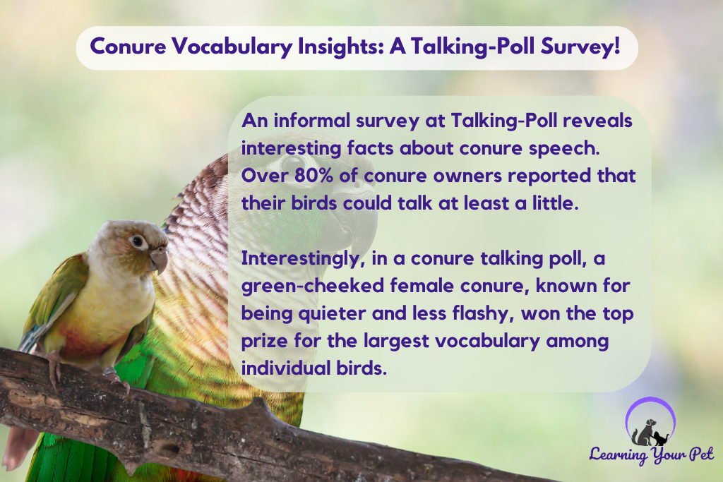 The Talking-Poll survey provides valuable insights into the speech capabilities and vocabulary sizes of Green-cheeked Conures.