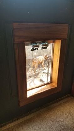 How To DIY Large Dog Door